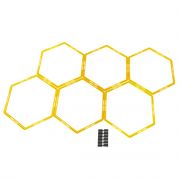 Hexagon Agility Grid