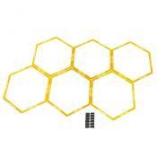 Hexagon Agility Grid