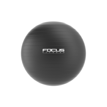 Gym Ball - Focus Fitness - Zwart - 55 cm