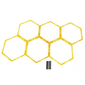 Hexagon Agility Grid
