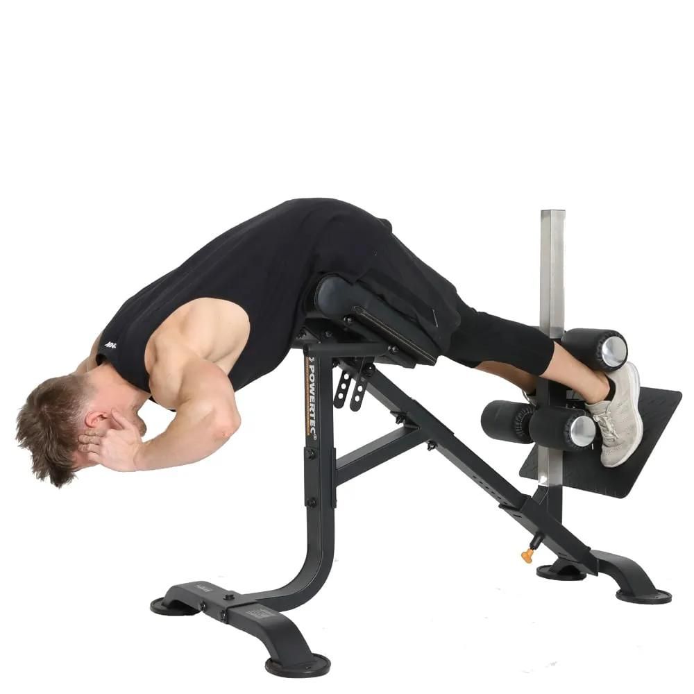 Multifunctionele Gymbank - Vrijstaande Buik- en Rugtrainer, Verstelbaa